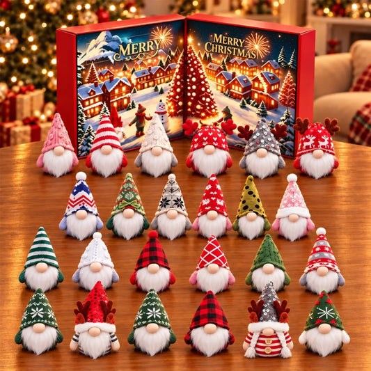 Christmas gnome advent calendar box with 24 assorted decorative gnomes arranged in four rows.