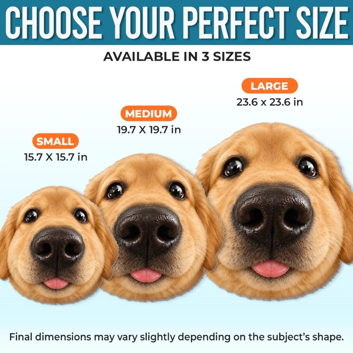 Fisheye pet pillow size guide for 15.7, 19.7 and 23.6 inch sizes