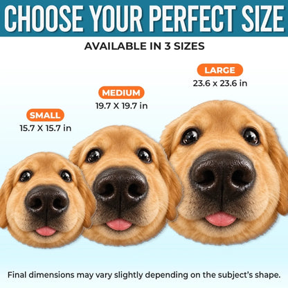 Fisheye pet pillow size guide for 15.7, 19.7 and 23.6 inch sizes